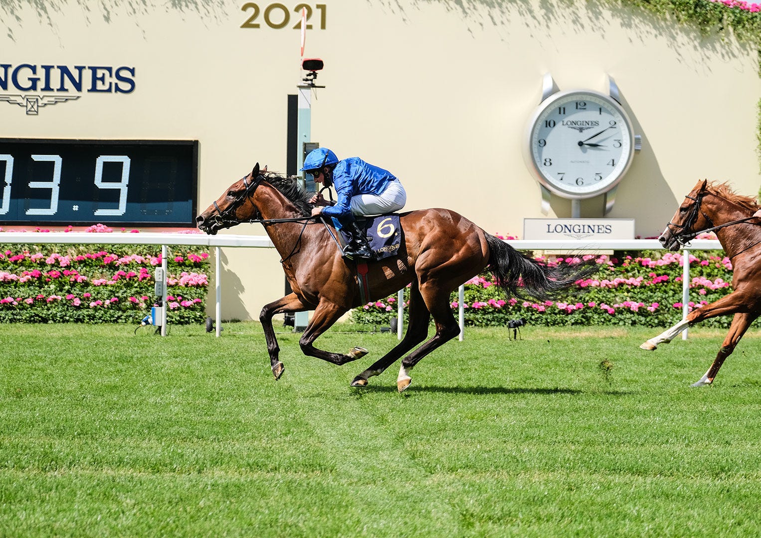 Longines have a huge sporting presence, especially in the equestrian field